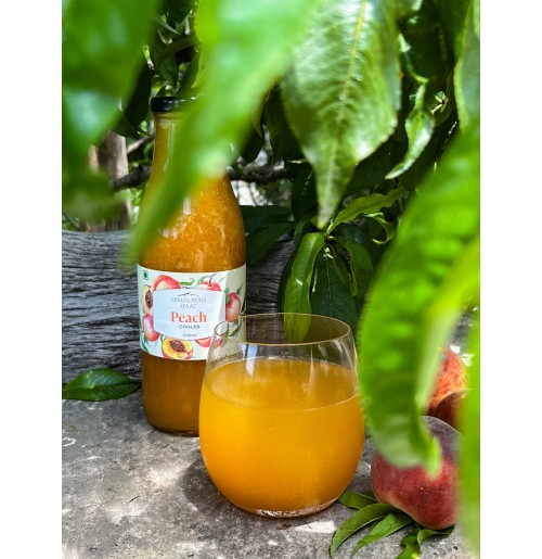 Cooler - Peach (Juice Concentrate -500ml)